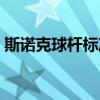 斯諾克球桿標準參數（斯諾克桿法有多少種）