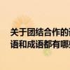 關于團結合作的詞語,成語,諺語（關于團結合作的詞語、諺語和成語都有哪些）