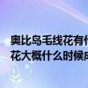奧比島毛線花有什么用（奧比島神秘世界里的紐扣豆和毛線花大概什么時候成熟）