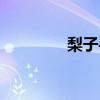 梨子手繪（梨子手機如何）