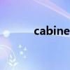 cabinet（關于cabinet的介紹）