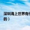 深圳海上世界有什么好玩的地方（深圳海上世界有什么好玩的）