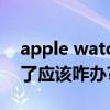 apple watch activation lock（iPhone丟了應該咋辦?Activation Lock教程）