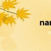 nan（關于nan的介紹）