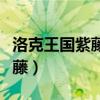洛克王國紫藤如何獲得（洛克王國怎么獲得紫藤）