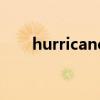 hurricane（關于hurricane的介紹）