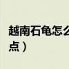 越南石龜怎么養才好看（越南石龜有何生長特點）