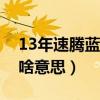 13年速騰藍驅版配置（大眾新速騰藍驅版是啥意思）