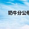 奶牛分公母的區別（奶牛分公母嗎??）