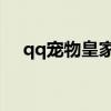 qq寵物皇家戰棋手機版（QQ寵物保姆）