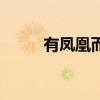 有鳳凰而沒有孔雀（（打一字））