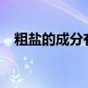 粗鹽的成分有什么（粗鹽的成分是什么?）