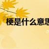 梗是什么意思（關于梗是什么意思的介紹）
