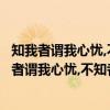 知我者謂我心憂,不知我者謂我何求的謂是什么意思（“知我者謂我心憂,不知者謂我何求”是什么意思）