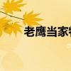 老鷹當家特雷楊48分 幫助球隊取勝 