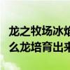 龍之牧場冰焰龍怎么培育（龍之牧場膠龍用什么龍培育出來）