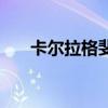 卡爾拉格斐（關于卡爾拉格斐的介紹）