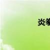 炎拳（關于炎拳的介紹）