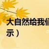 大自然給我們哪些禮物（大自然給我們哪些啟示）
