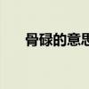 骨碌的意思（關于骨碌的意思的介紹）