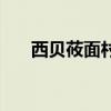 西貝莜面村（關于西貝莜面村的介紹）