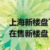 上海新樓盤TOP10（上海新開盤的樓盤上海在售新樓盤）