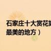 石家莊十大賞花好去處（石家莊賞花去哪里好石家莊看花海最美的地方）