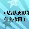 cf戰隊貢獻怎么看（cf戰隊系統個人貢獻度有什么作用）
