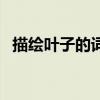 描繪葉子的詞語（哪些是描寫葉子的詞語）