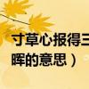 寸草心報得三春暉意思（誰言寸草心報得三春暉的意思）