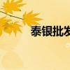 泰銀批發廠家（泰銀去哪里批發）