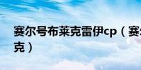 賽爾號布萊克雷伊cp(賽爾號雷伊咋打布萊克)