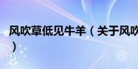 風吹草低見牛羊(關于風吹草低見牛羊的介紹)