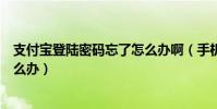 支付寶登陸密碼忘了怎么辦啊(手機支付寶登陸密碼忘了怎么辦)