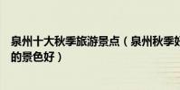 泉州十大秋季旅游景點(泉州秋季好玩的地方泉州秋天哪里的景色好)
