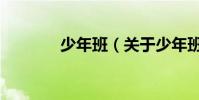 少年班(關于少年班的介紹)