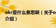 okr是什么意思啊(關于okr是什么意思啊的介紹)
