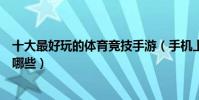 十大最好玩的體育競技手游(手機上好玩的體育競技游戲有哪些)
