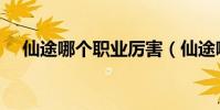 仙途哪個職業厲害(仙途哪個職業熱門)