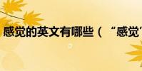 感覺的英文有哪些(“感覺”的英文是什么)