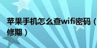 蘋果手機怎么查wifi密碼(蘋果手機怎么查保修期)