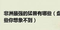 非洲最強的猛獸有哪些(盤點非洲十大猛獸有些你想象不到)