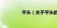 平頭(關于平頭的介紹)