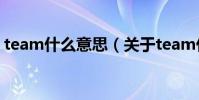 team什么意思(關于team什么意思的介紹)