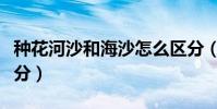 種花河沙和海沙怎么區分(海沙和河沙怎么區分)
