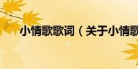 小情歌歌詞(關于小情歌歌詞的介紹)
