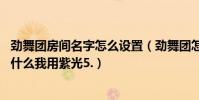 勁舞團房間名字怎么設置(勁舞團怎么用紫光打長房名阿.為什么我用紫光5.)