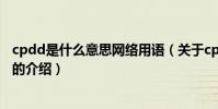 cpdd是什么意思網絡用語(關于cpdd是什么意思網絡用語的介紹)
