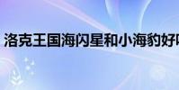 洛克王國海閃星和小海豹好嗎(值得練級嗎)