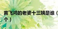 黃飛鴻的老婆十三姨是誰(黃飛鴻的老婆是那個)